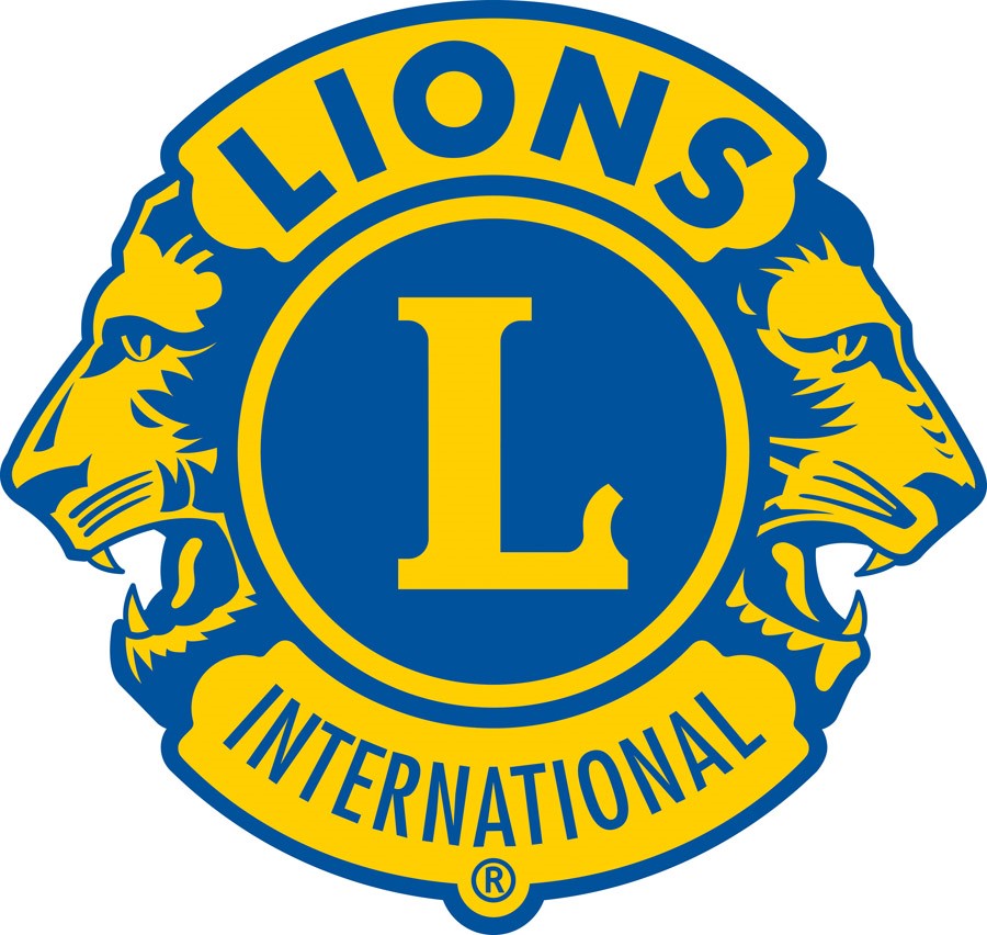 Lions Kids Bingo 